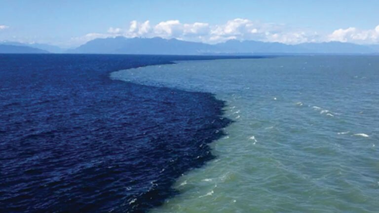 Ocean